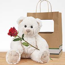 White teddy with red rose