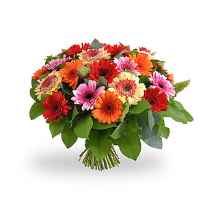 Topbloemen en bezorgkosten | Vergelijk bloemen bestellen