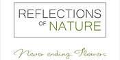 Logo Reflections of Nature