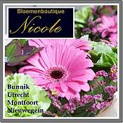 Logo Bloemenboutique Nicole Business bloemist