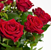 Bouquet red roses medium