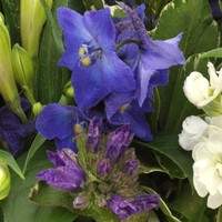 Boeket Blauw Paars