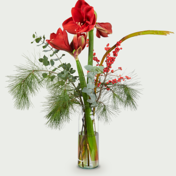 Bouquet Annette red