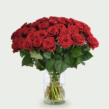 10 or more long stemmed red roses