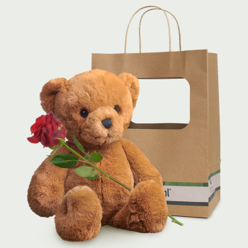 Teddy bear with rose