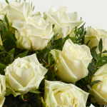 Bouquet Rose white